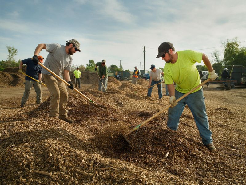 tree removal project near Shreveport, LA